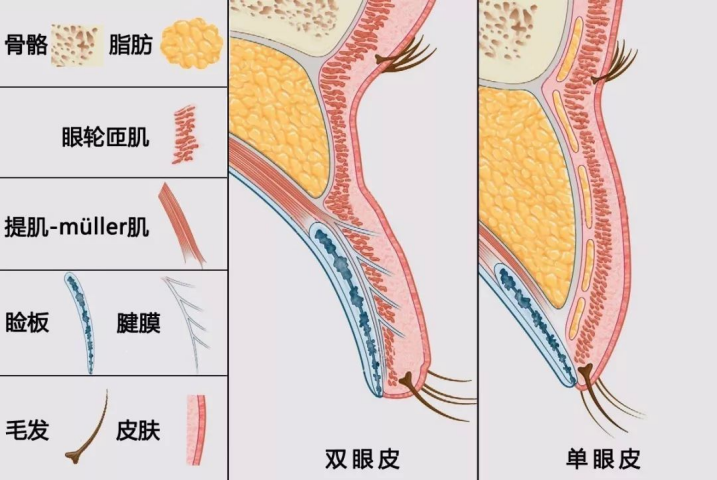 美丽课