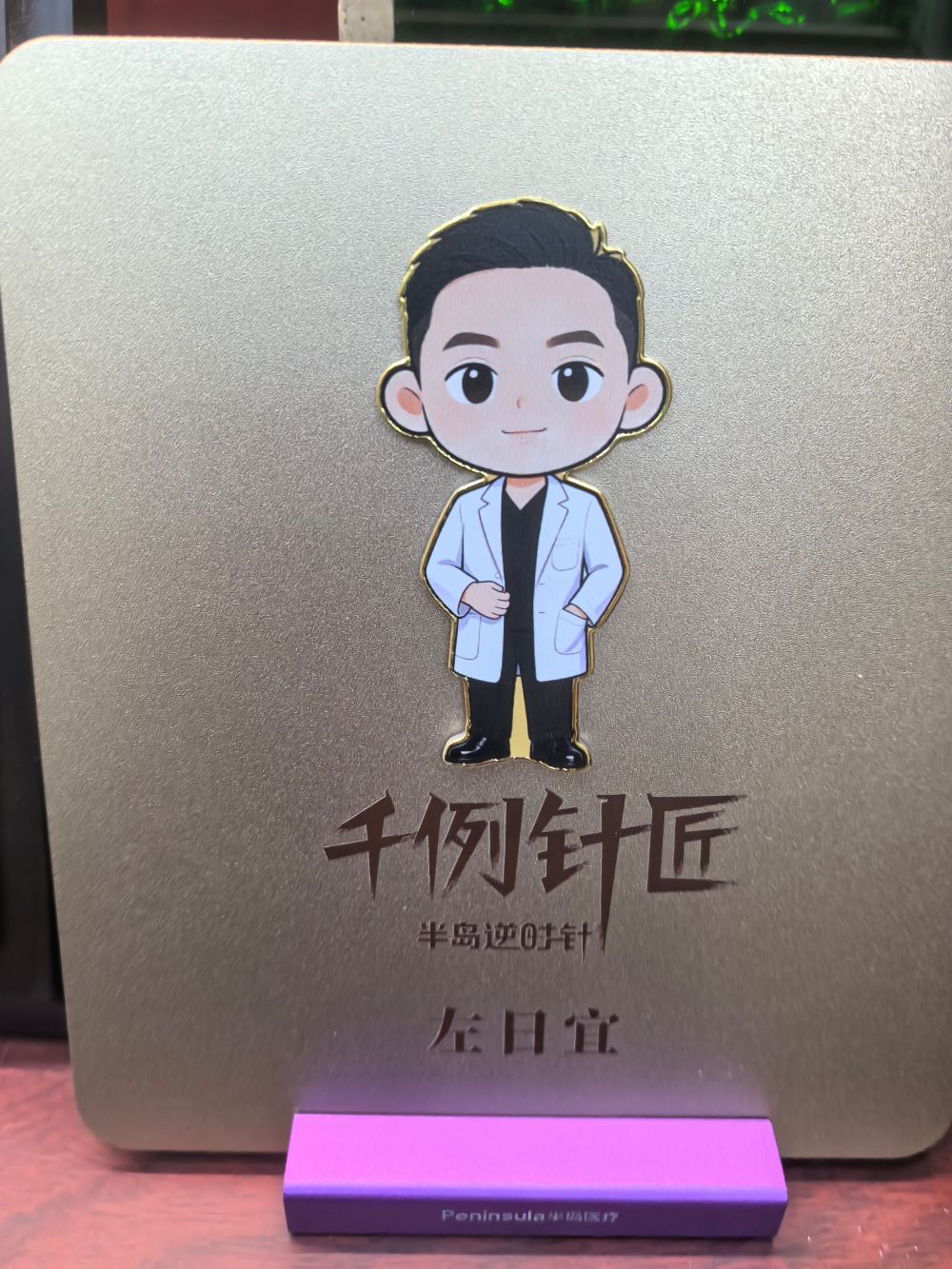 左日宜医生, 整形医生左日宜